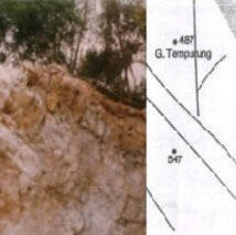 MSIA Site Investigation